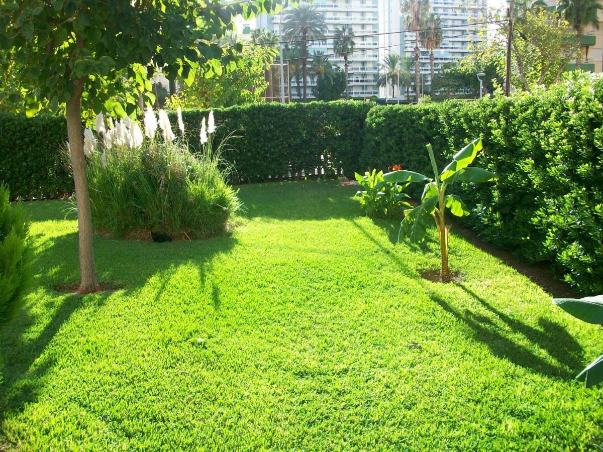 Appartement Don Ximo Gandia - Alquiler Solo Familias à Playa de Gandia Extérieur photo